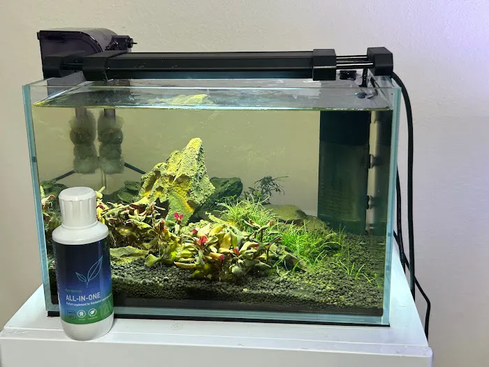 Tropical Waters Picture 7
