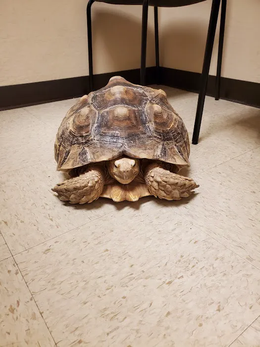 Arizona Exotic Animal Hospital (Phoenix) Picture 2