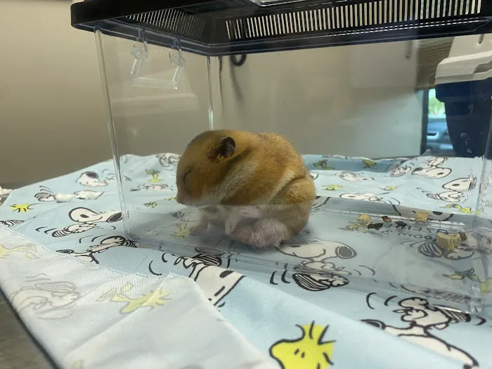 Arizona Exotic Animal Hospital (Phoenix) Picture 3