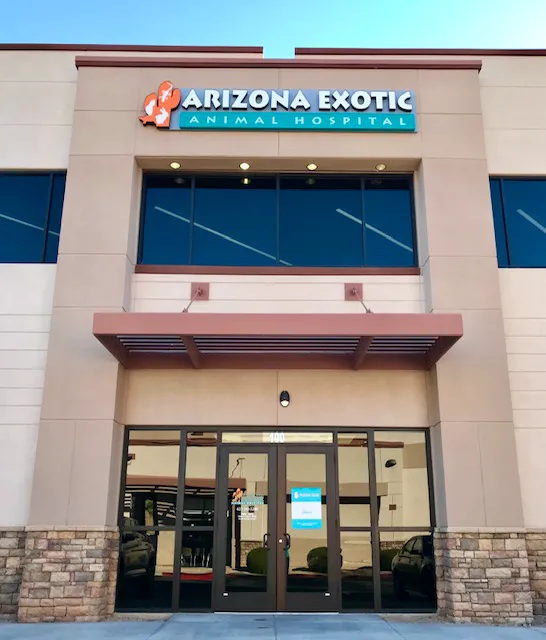 Arizona Exotic Animal Hospital (Phoenix) Picture 9