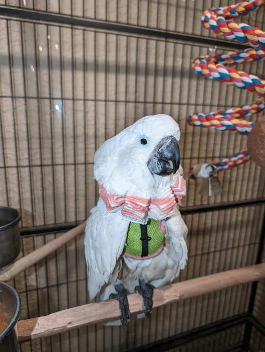 Arizona Exotic Animal Hospital (Phoenix) Picture 10