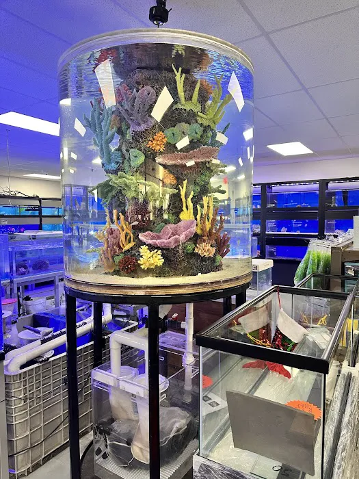 The Aquarium Connection Picture 2