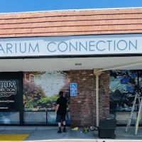 The Aquarium Connection ico