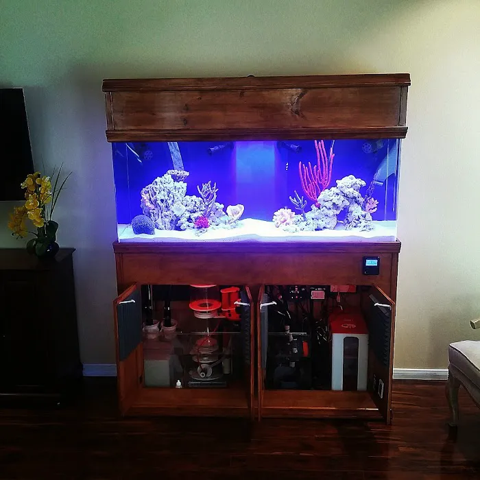 The Aquarium Connection Picture 9