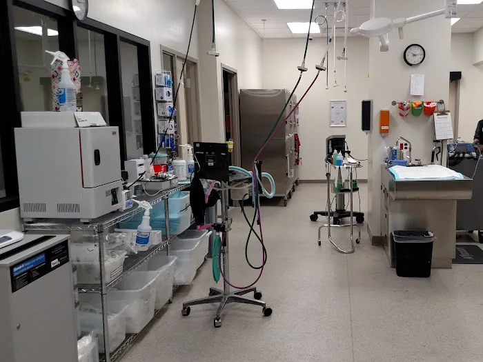 VetMED Emergency & Specialty Veterinary Hospital Picture 5