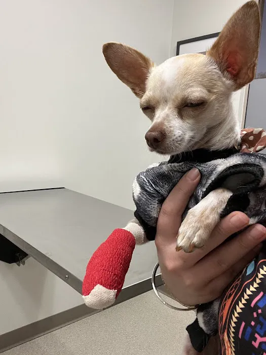 VetMED Emergency & Specialty Veterinary Hospital Picture 2