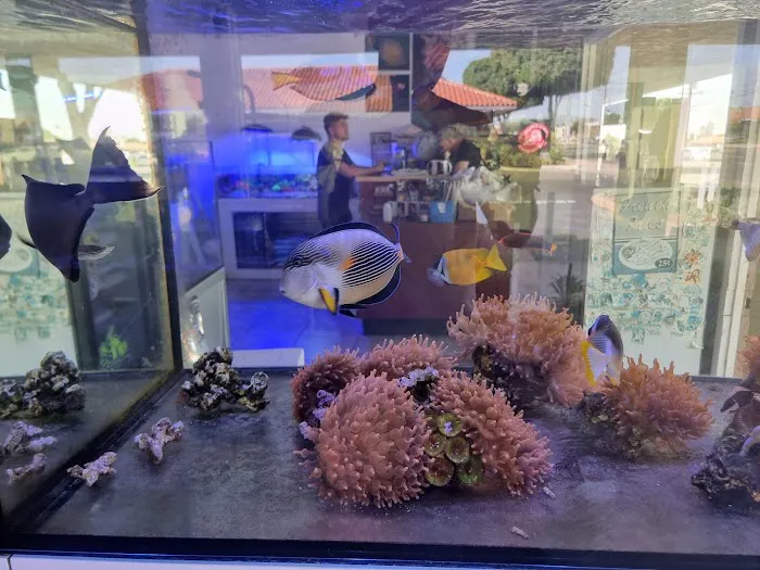 Amazing Aquariums & Reefs Picture 5