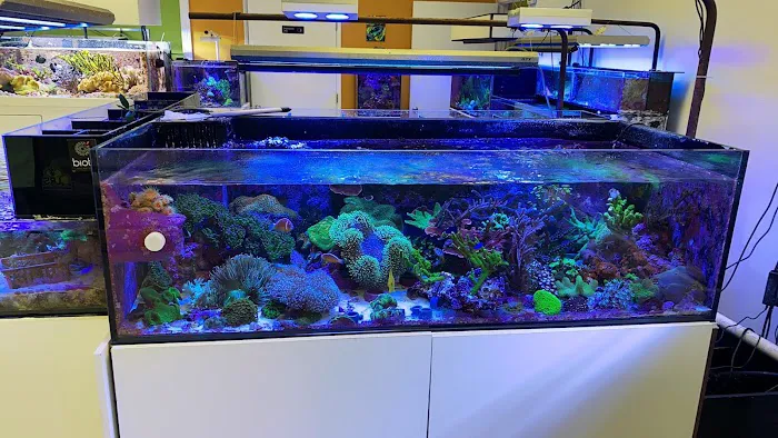 Amazing Aquariums & Reefs Picture 7