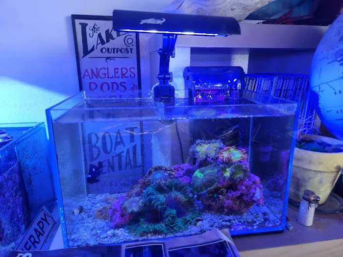 Amazing Aquariums & Reefs Picture 3