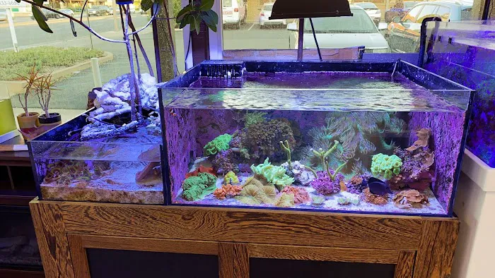 Amazing Aquariums & Reefs Picture 6
