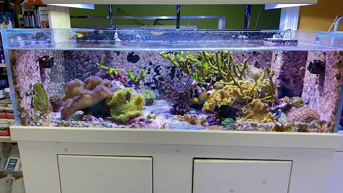 Amazing Aquariums & Reefs Picture 9