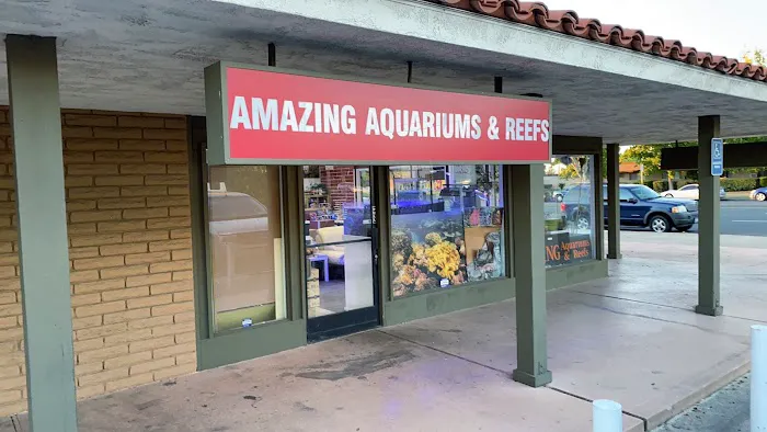 Amazing Aquariums & Reefs Picture 8