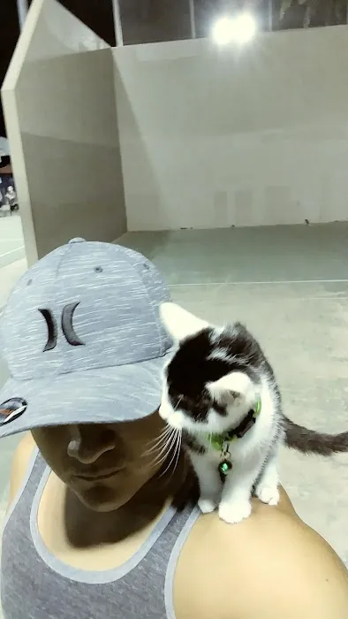 Petco Picture 5