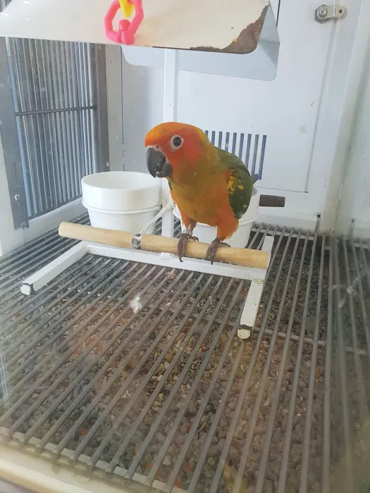 Petco Picture 4