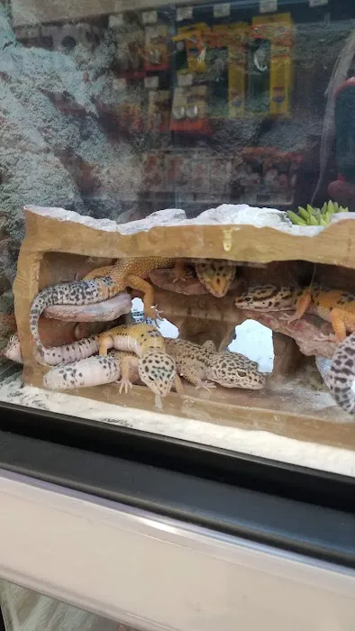 Petco Picture 1