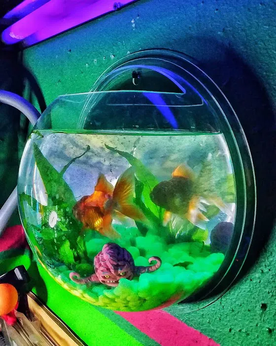 Tropical Fish World Picture 2