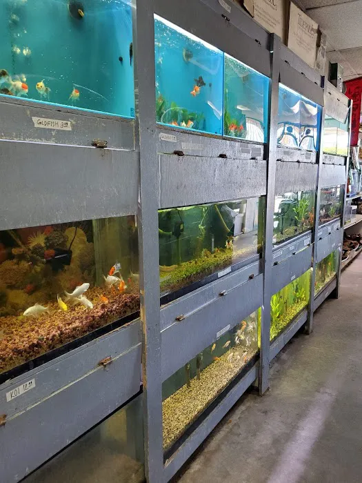 Tropical Fish World Picture 6