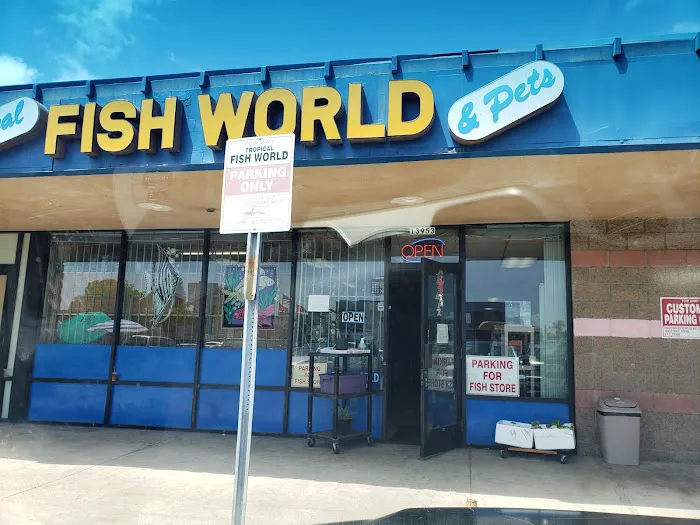 Tropical Fish World Picture 4