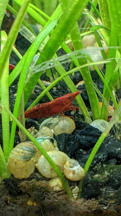 Tropical Fish World Picture 9