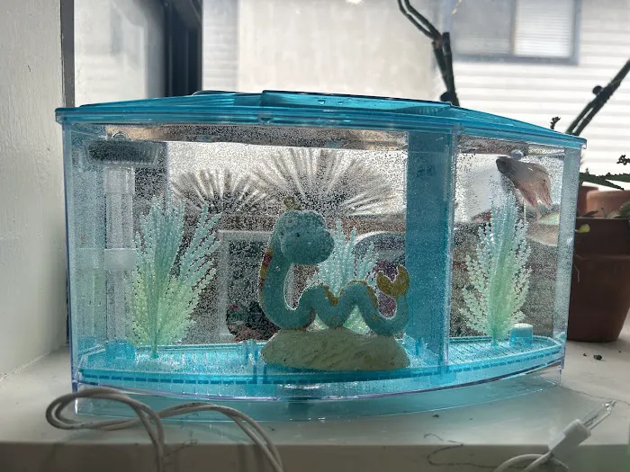 Tropical Fish World Picture 8