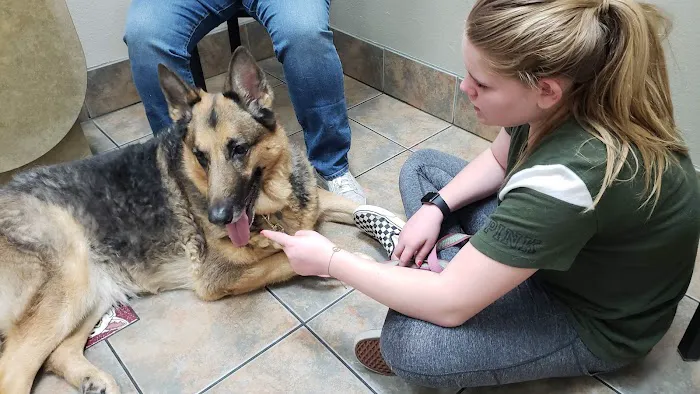 Lovet Pet Health Care - Happy Valley Picture 2