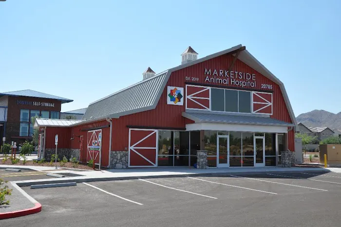Marketside Animal Hospital at Verrado Picture 8