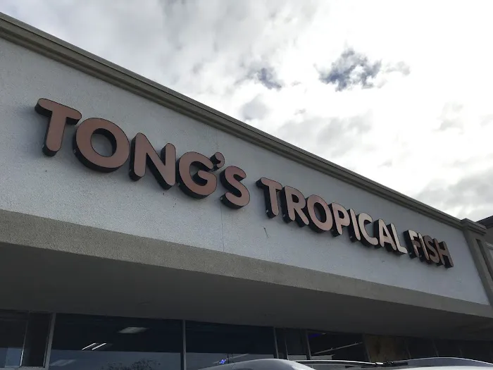 Tong's Tropical Fish & Pets Picture 1