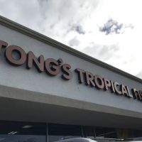 Tong's Tropical Fish & Pets ico