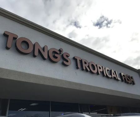 Tong's Tropical Fish & Pets
