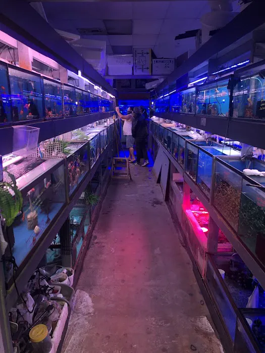 Tong's Tropical Fish & Pets Picture 5