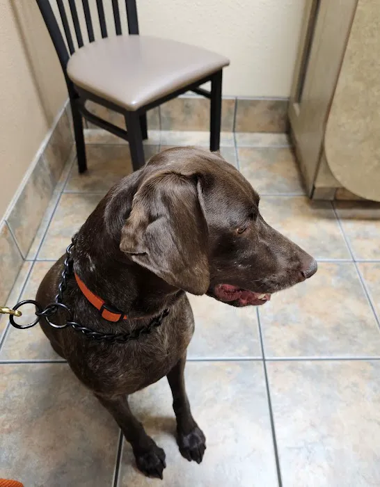 Lovet Pet Health Care - North Buckeye Picture 10