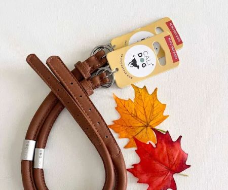 CALIDOG online-shop