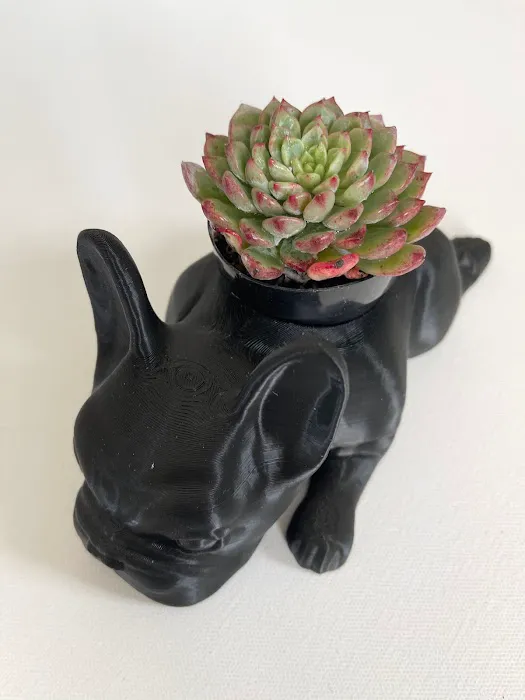 CALIDOG online-shop Picture 2