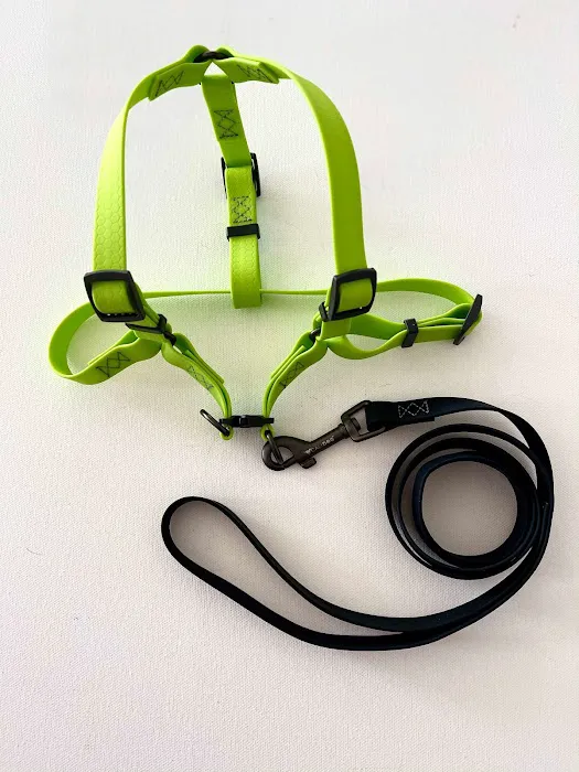 CALIDOG online-shop Picture 3