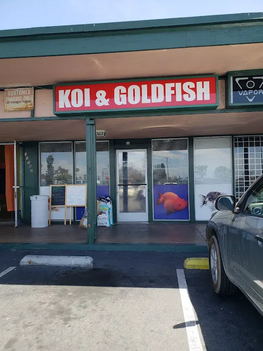 King Koi & Goldfish Picture 1