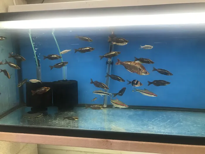 Nolan's Aquarium Picture 6