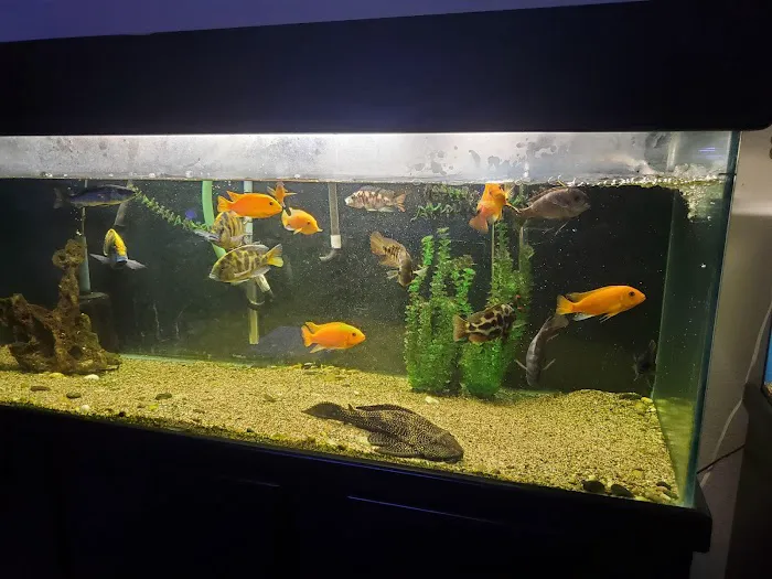 Nolan's Aquarium Picture 5