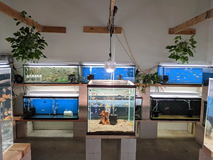 Nolan's Aquarium Picture 10