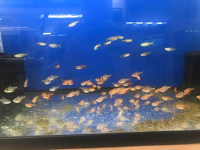 Nolan's Aquarium Picture 7