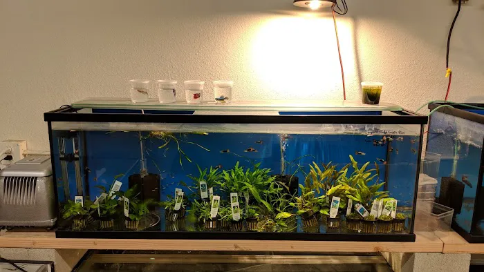 Nolan's Aquarium Picture 9