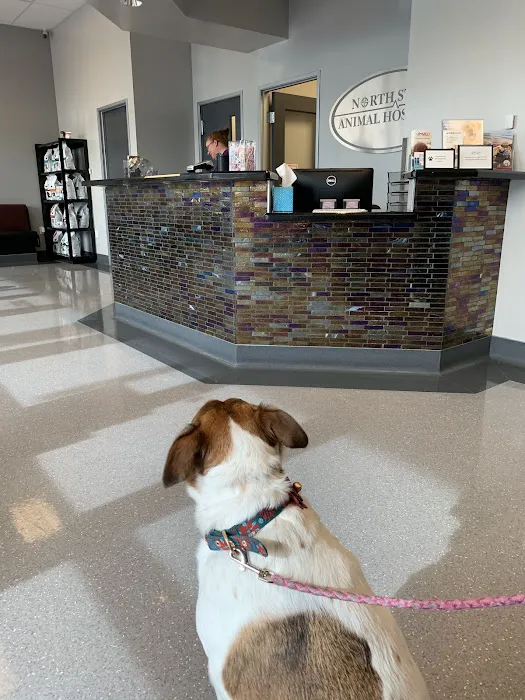 North Star Animal Hospital at Estrella, PLLC Picture 1