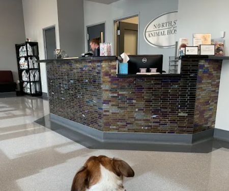 North Star Animal Hospital at Estrella, PLLC