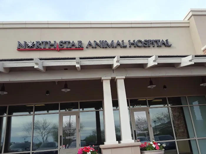 North Star Animal Hospital at Estrella, PLLC Picture 6