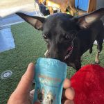 The Mobile Barkery