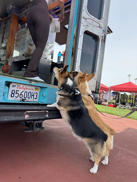 The Mobile Barkery Picture 9