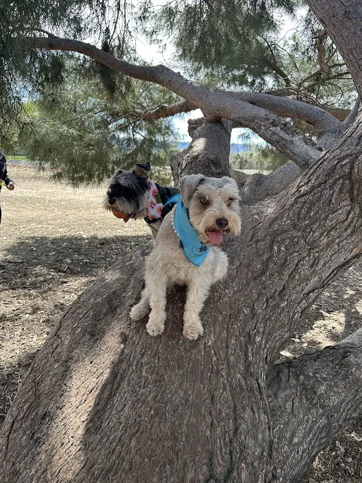 The Mobile Barkery Picture 7