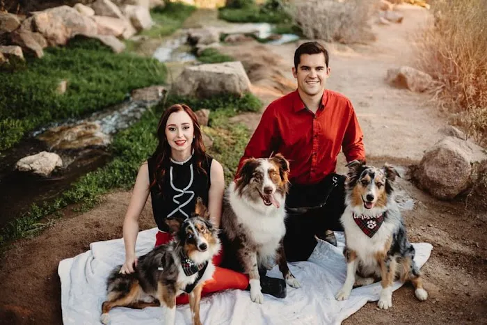 Copper Mountain Animal Hospital Picture 5
