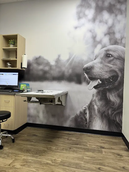 CityVet | Chandler Veterinary & Urgent Care Picture 6