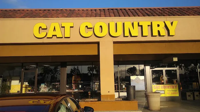 Cat Country Picture 10