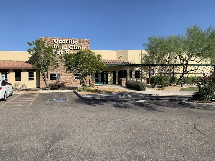 Ocotillo Animal Clinic & Pet Resort Picture 9
